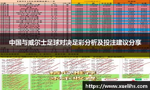 中国与威尔士足球对决足彩分析及投注建议分享
